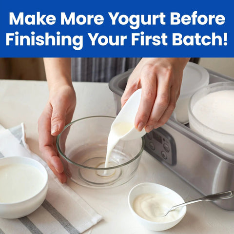 Two Pack 1 Quart Glass Yogurt Containers With Lids in use for making homemade yogurt on kitchen counter