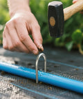 Inserting Heavy Duty 11 Gauge Galvanized U Shaped Garden Stakes Pack Of 100, 6 Inch Irrigation Stakes into soil for drip irrigation