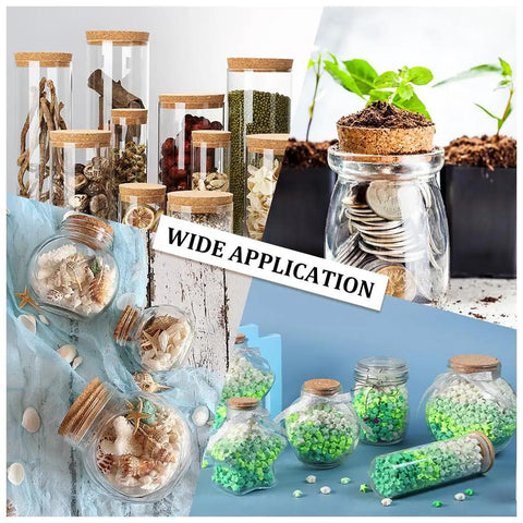 Two Size Wood Cork Plugs 10 Pack Large Tapered Wooden Stoppers For Wine Beer And Glass Bottles Ornaments Natural Soft Wood Replacement Ideal For DIY Projects Bottle Displays And Bottle Ornaments Crafting in various uses