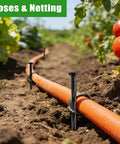 Heavy Duty 8 Inch Plastic Landscape Edging Spikes, 220 Pack shown securing garden hose in a vegetable garden