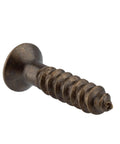 Heavy Duty Number 4 X Half Inch Flat Head Phillips Wood Screws In Antique Brass Finish showing a close-up view for smooth cabinet builds.