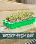 No Mess Indoor Garden Starter Kit With Mini Greenhouse Humidity Dome And 3-Pack Reusable Seedling Trays on a windowsill