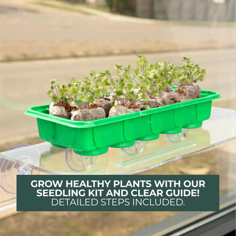 No Mess Indoor Garden Starter Kit With Mini Greenhouse Humidity Dome And 3-Pack Reusable Seedling Trays on a windowsill