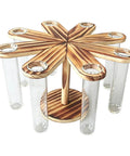 Eight Tube Wood Stand Glass Test Tube Planter Set With Hydroponic Water Station for Indoor Garden Desk Decor, top view.