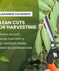 Top Notch Pro Grade Japanese Harvesting Shears With Straight 58 Millimeter Blade Black Fluorine Coated in garden use
