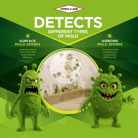 Image showing DIY Home Mold Test Kit For Air Quality With Fast 48 Hour Results, featuring mold spores illustrations.