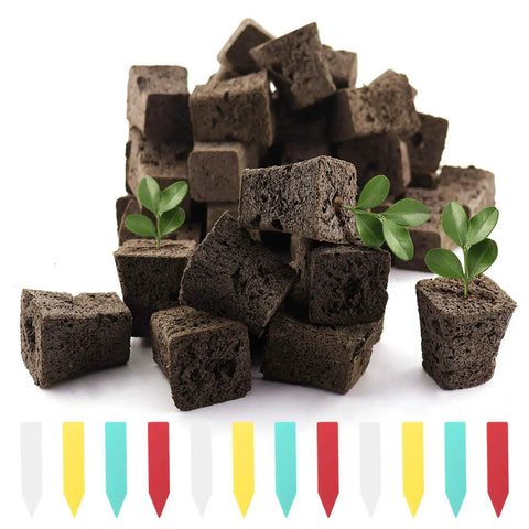Seed Starter Plugs Kit With Rapid Root Sponges And 60 Colorful Labels For Organic Plant Starters And Hydroponics, plugs and labels shown