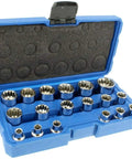 Built Tough 3/8 Inch Drive 18 Piece Penta Spline Socket Set Featuring High Polish Steel and Multi Pattern Heads in blue case.