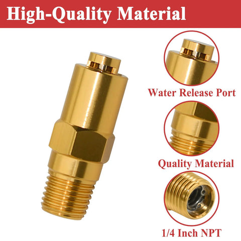 Zeiboat 7101359 brass thermal relief valve for gas-powered pressure washer pump, 1/4 inch NPT, front view