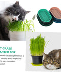 Hydroponic Cat Grass Planter Set Dual Pack For Easy Maintenance Catnip Plant Box Practical Cat Supplies For Indoor Cats Self Watering Mess Free Design Perfect Home Garden Kit with cat grass and two trays