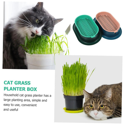 Hydroponic Cat Grass Planter Set Dual Pack For Easy Maintenance Catnip Plant Box Practical Cat Supplies For Indoor Cats Self Watering Mess Free Design Perfect Home Garden Kit with cat grass and two trays