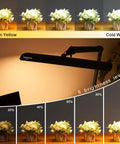 LED Architect Desk Lamp With Clamp, 5 brightness levels and color temperatures demonstrated on flowers, dimmable 2000 lumen task light