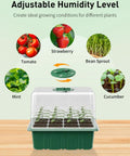 Six Pack Seed Starter Kit With 72 Cell Trays, Adjustable Full Spectrum LED Grow Lights, 3.9 Inch Humidity Domes shown with seedlings