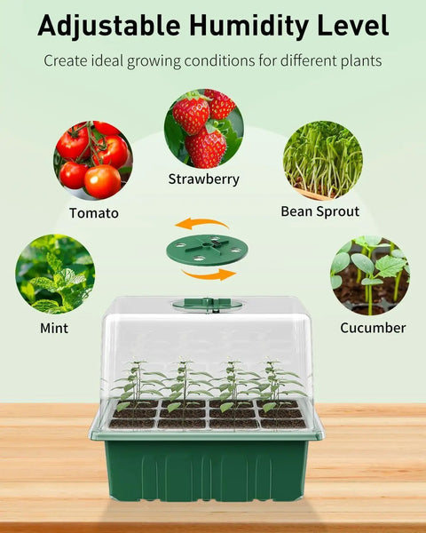 Six Pack Seed Starter Kit With 72 Cell Trays, Adjustable Full Spectrum LED Grow Lights, 3.9 Inch Humidity Domes shown with seedlings