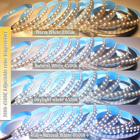 Ultra Bright Dual Row RGB CCT Flexible LED Strip Lights 270 LEDs Per Meter 5050 RGB And 2835 Warm White Daylight White