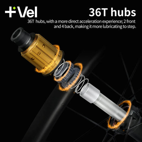 Exploded view of 36T ratchet hub showing internal components for Vel Road Bike Carbon Wheelset 700C Clincher Disc Brake Tubeless Ready