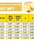 Brass SAE 45 Degree Flare Plug And Cap Set size chart for 1/4, 5/16, 3/8, 1/2, 5/8, 3/4 inch tube OD, labeled Not NPT.