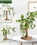 Colorful Glass Plant Terrarium Propagation Stations With Wooden Stand Glass Vase For Indoor Hydroponics Home Garden