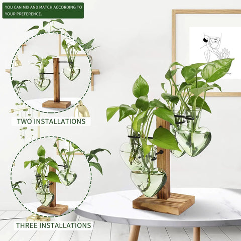 Colorful Glass Plant Terrarium Propagation Stations With Wooden Stand Glass Vase For Indoor Hydroponics Home Garden