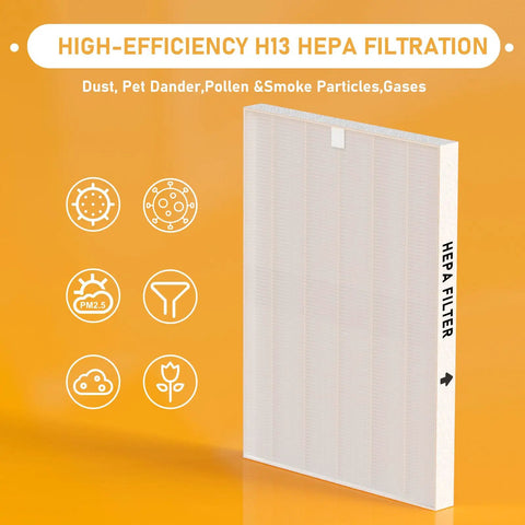 True HEPA Replacement Filter H 116130 for 5500-2 Air Purifier AM80, showing filtration benefits for dust and allergens.