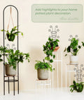 Four Pack 30 Inch Tall Metal Plant Trellis For Climbing Plants Indoor Dope Rustproof Garden Trellis in use with potted houseplants