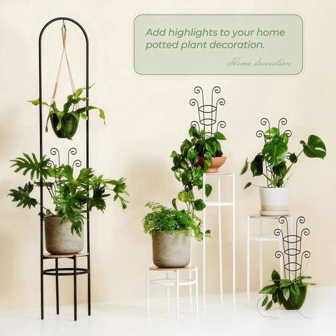 Four Pack 30 Inch Tall Metal Plant Trellis For Climbing Plants Indoor Dope Rustproof Garden Trellis in use with potted houseplants