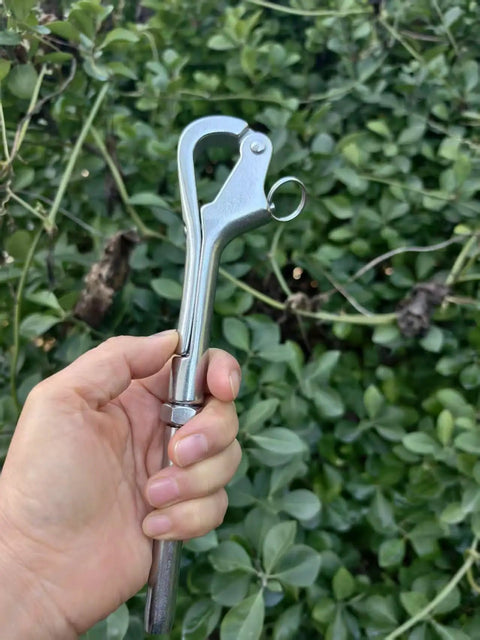 Person holding Heavy Duty Quick Release Pelican Hook Shackle for Quarter Inch Wire Rope on Boats and Yachts, Marine Grade 316 Stainless Steel.