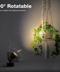 Image showing Two Pack Led Indoor Spotlight 120V 3W 3000K Warm White Uplight for Plants, illuminating hanging plants at 90° angle.