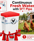 Super Easy Setup 3 Gallon Automatic Chicken Waterer With 10 Spill Proof Cup Stations And Sturdy Stand Legs For Hens Ducks And Poultry Coops This Game Changer Keeps Hydration Locked With Auto Refill In Bold Red Finish, featuring 5FT pipe connection.