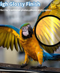 Parrot with high glossy finish effect highlighting feather detail on glossy photo paper 8.5 x 11 inches, 180gsm 48lb, 36 sheets for inkjet printers.