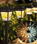 8 Pack Solar Pathway Lights With Two Color Modes Warm White And Cool White Waterproof Outdoor Path Lighting at night