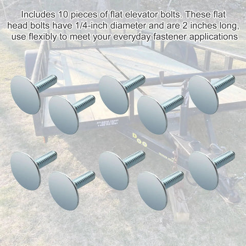 Ten zinc-plated flat-head elevator bolts, 1/4-20 x 2 in, rust-resistant.
