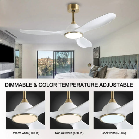 52 Inch Modern Ceiling Fan With Slick White And Gold Trim Hosting A Heavy Duty DC Motor in a stylish bedroom setting.