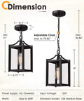 Large 14 Inch Outdoor Pendant Light With Adjustable Chain In Black Exterior Finish And Clear Glass dimensions view.