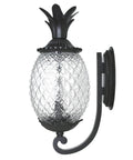 Side view of Lanai Collection Two Light Outdoor Wall Mount Fixture in Matte Black With Tropical Leaf and Fruit Style Exterior Lighting