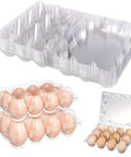 12 Count Clear Plastic Egg Cartons Bulk Pack With Sturdy Snap Lids No Fuss Reusable Egg Storage For Farm Market Or Family Kitchen