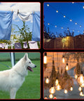 Collage of outdoor scenes: clothesline with laundry, patio with string lights, white dog on grass, and decorative hanging lights.