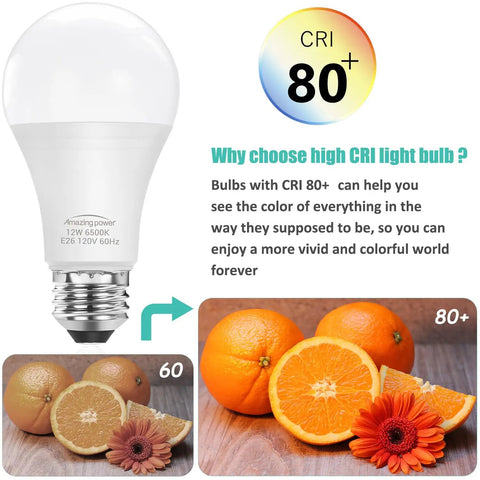 Powerful 100W Equivalent E26 LED Bulbs Daylight White 6500K Non-Dimmable Medium Screw Base Energy Saving Halogen Replacement 4-Pack