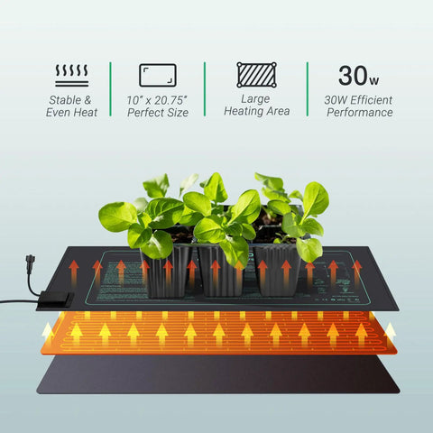 Six Pack 30W Seedling Heating Mats 10 By 20.75 Inches With Digital Thermostat Controller showing root zone warmth for seedlings.