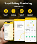 Smart Battery Monitoring via Bluetooth showing metrics and diagnostics for Heavy Duty 12 Volt 280 Ah LiFePO4 Deep Cycle Battery.