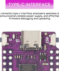 Close-up of Dope ESP32 S2 Mini WiFi Development Module with Type C USB interface showing purple circuit board.