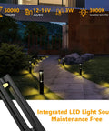 Low Voltage Pathway Lights Kit 10 Pack With Wire Connectors 3W 12V LED Landscape Lighting illuminating a driveway