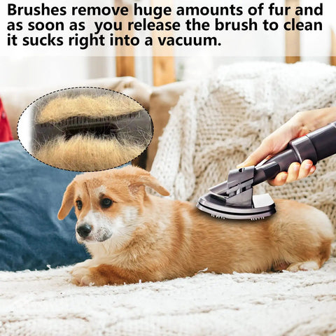 Go To Groom Tool For Dyson Vacuum Cleaners Pet Hair Attachment used on a dog, showing fur removal and suction feature.