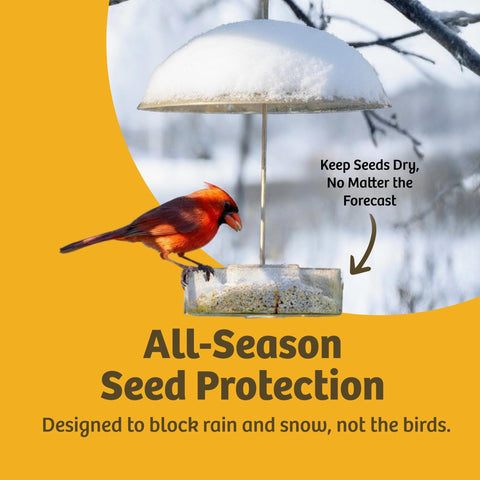 Clear Dome Bird Feeder Rain Guard Ten And A Half Inch Weather Shield protecting hanging feeder from snow with red bird