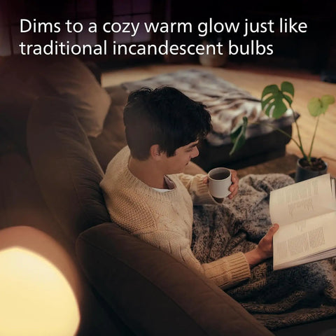 Cozy reading nook lit by LED A19 60W Equivalent Soft White Bulbs 2700K 800 Lumen 8 Pack Dimmable Flicker Free EyeComfort CRI 95