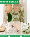 Premium Seven Piece Jumping Spider Habitat Decor Kit Featuring Natural Wood Platforms Cozy Hanging Swing Braided Hemp Rope Bridge And Glitter Webs For Compact Enclosures That Totally Slaps, showing wooden platforms and climbing net.