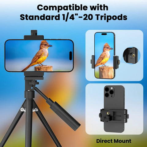 3 Axis Phone Mount For Spotting Scopes And Telescopes, Universal Phone Adapter Fits 30 To 57mm Eyepieces on tripod with bird image