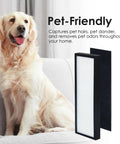 Must Have Replacement Filter B For G Guardian Tower Air Purifier Compatible With AC4825 AC4300 AC4850PT AC4900CA AP2200