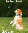 Beagle looking at butterfly in garden with "See Every Detail" and "2K QHD" text. Outdoor scene showcasing camera quality.
