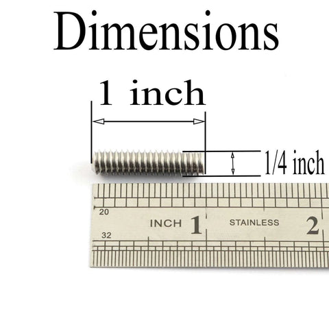 20 Piece 1/4-20 By 1 Inch Hex Socket Set Screws In 304 Stainless Steel Full Thread Cup Point Grub Screws For Heavy Duty Rust Resistant Fastening Smooth Threads Reliable Hardware For Mechanical Parts next to a ruler showing dimensions